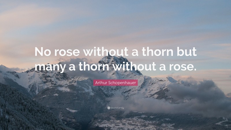 Arthur Schopenhauer Quote: “No rose without a thorn but many a thorn without a rose.”