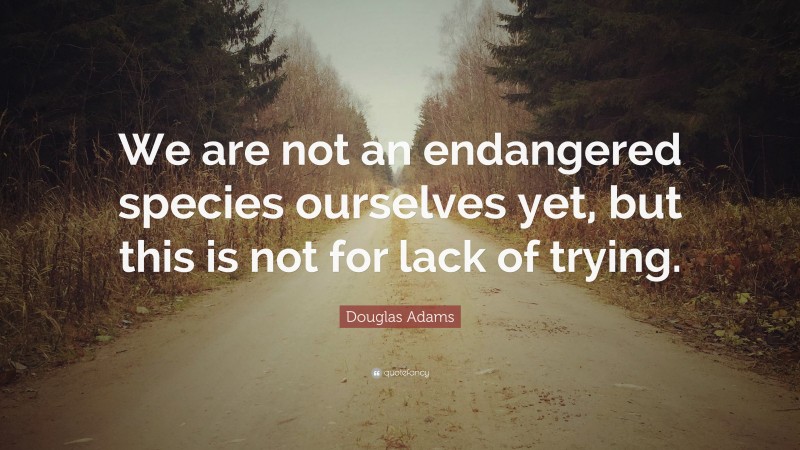 Douglas Adams Quote: “We are not an endangered species ourselves yet, but this is not for lack of trying.”