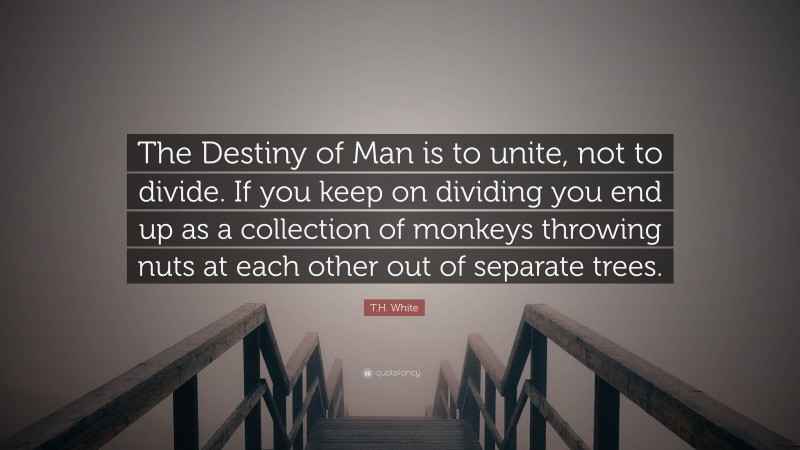 T.H. White Quote: “The Destiny of Man is to unite, not to divide. If you keep on dividing you end up as a collection of monkeys throwing nuts at each other out of separate trees.”