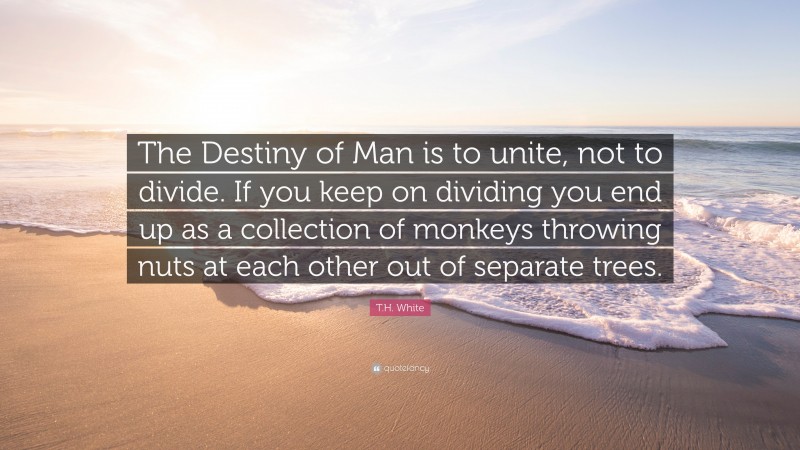 T.H. White Quote: “The Destiny of Man is to unite, not to divide. If you keep on dividing you end up as a collection of monkeys throwing nuts at each other out of separate trees.”