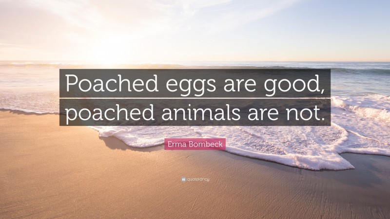 Erma Bombeck Quote: “Poached eggs are good, poached animals are not.”