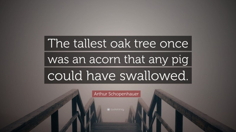 Arthur Schopenhauer Quote: “The tallest oak tree once was an acorn that any pig could have swallowed.”