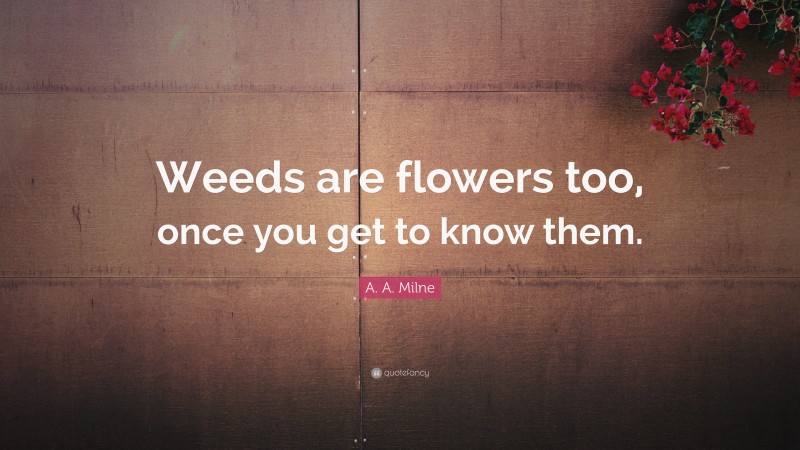A. A. Milne Quote: “Weeds are flowers too, once you get to know them.”