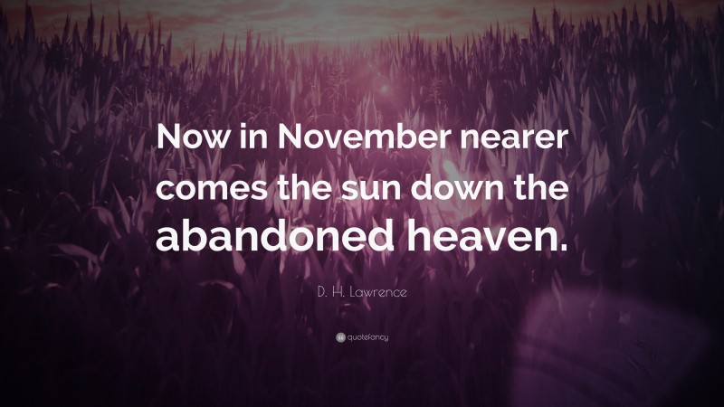 D. H. Lawrence Quote: “Now in November nearer comes the sun down the abandoned heaven.”