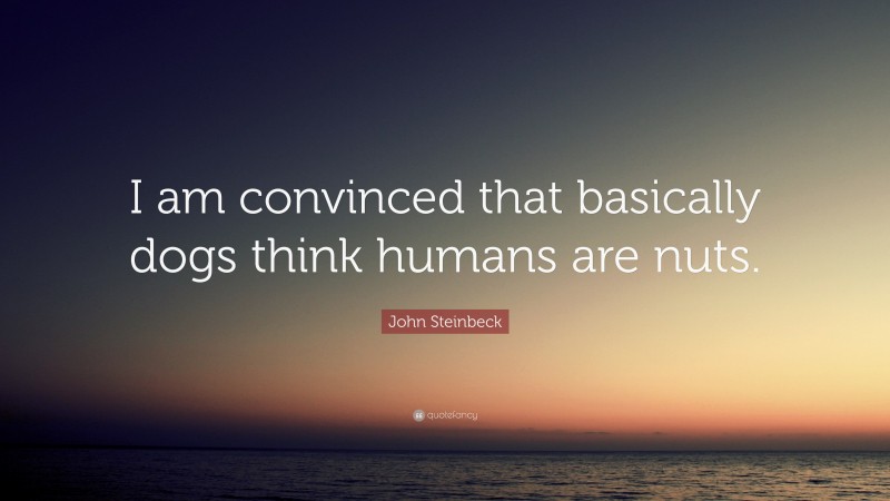 John Steinbeck Quote: “I am convinced that basically dogs think humans are nuts.”