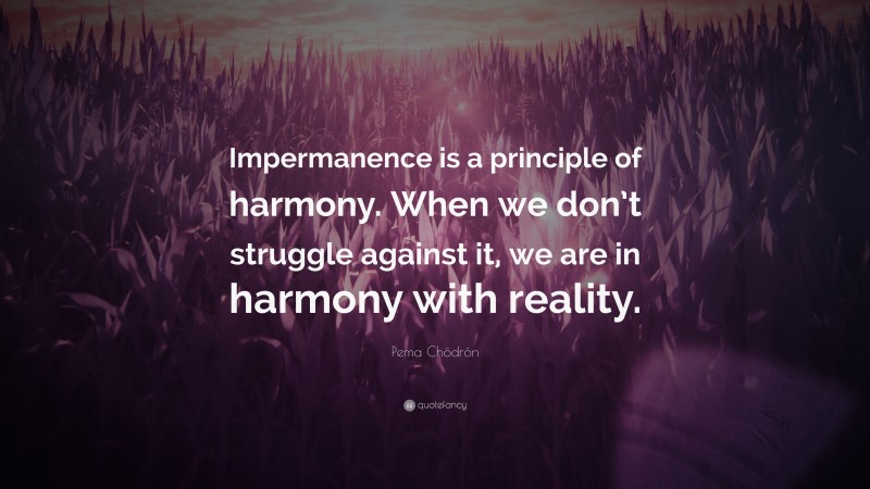 Pema Chödrön Quote: “Impermanence is a principle of harmony. When we don’t struggle against it, we are in harmony with reality.”