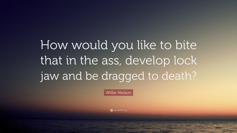 Willie Nelson Quote: “How would you like to bite that in the ass, develop lock jaw and be dragged to death?”