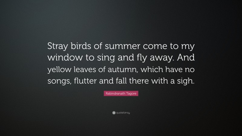 Rabindranath Tagore Quote: “Stray birds of summer come to my window to sing and fly away. And yellow leaves of autumn, which have no songs, flutter and fall there with a sigh.”