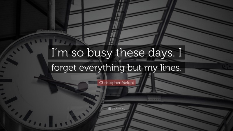 Christopher Meloni Quote: “I’m so busy these days. I forget everything but my lines.”