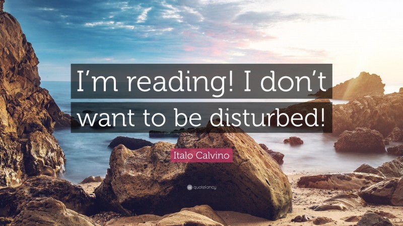 Italo Calvino Quote: “I’m reading! I don’t want to be disturbed!”