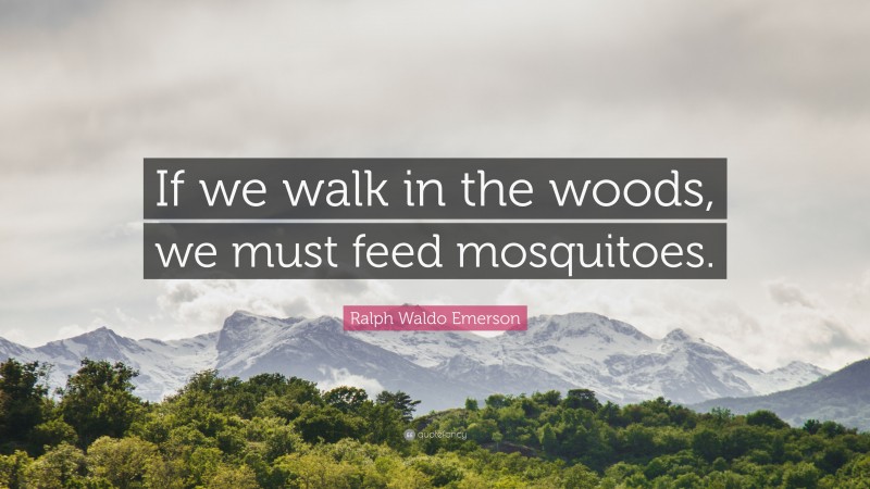 Ralph Waldo Emerson Quote: “If we walk in the woods, we must feed mosquitoes.”
