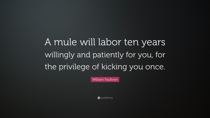 William Faulkner Quote: “A mule will labor ten years willingly and patiently for you, for the privilege of kicking you once.”