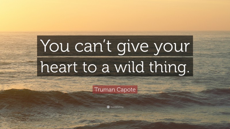 Truman Capote Quote: “You can’t give your heart to a wild thing.”