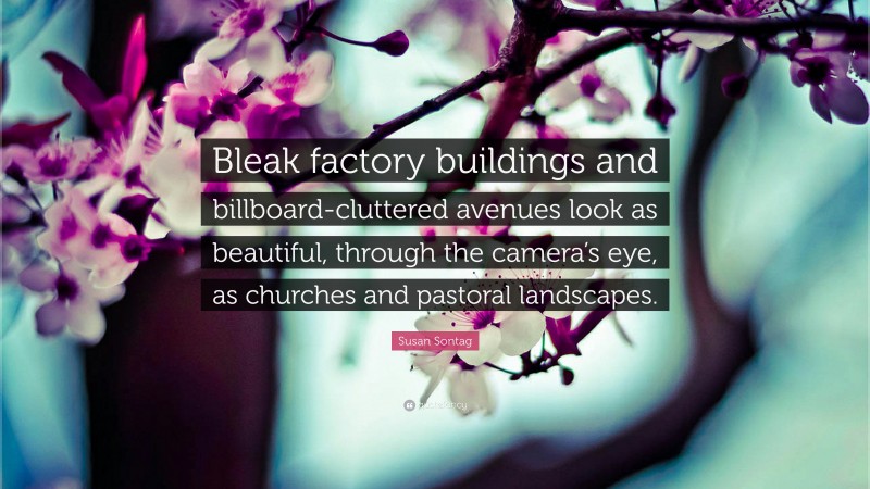 Susan Sontag Quote: “Bleak factory buildings and billboard-cluttered avenues look as beautiful, through the camera’s eye, as churches and pastoral landscapes.”