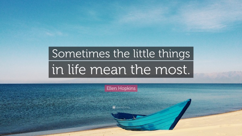 Ellen Hopkins Quote: “Sometimes the little things in life mean the most.”