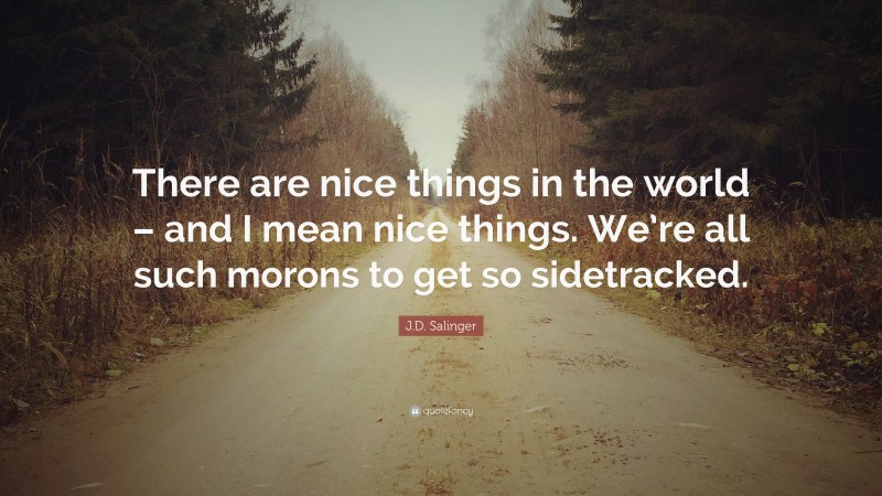 J.D. Salinger Quote: “There are nice things in the world – and I mean nice things. We’re all such morons to get so sidetracked.”