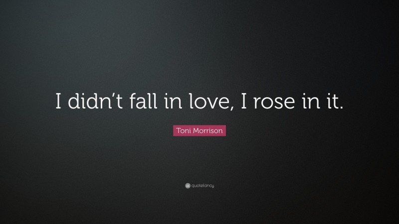 Toni Morrison Quote: “I didn’t fall in love, I rose in it.”