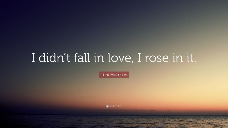 Toni Morrison Quote: “I didn’t fall in love, I rose in it.”