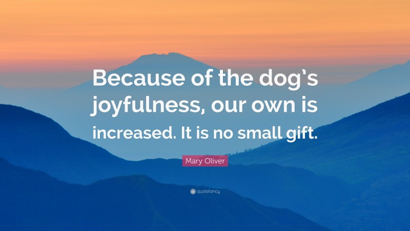 Mary Oliver Quote: “Because of the dog’s joyfulness, our own is increased. It is no small gift.”