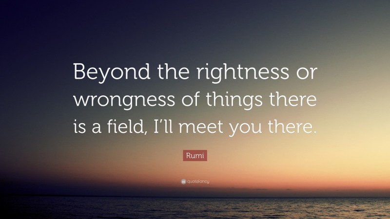 Rumi Quote: “Beyond the rightness or wrongness of things there is a field, I’ll meet you there.”