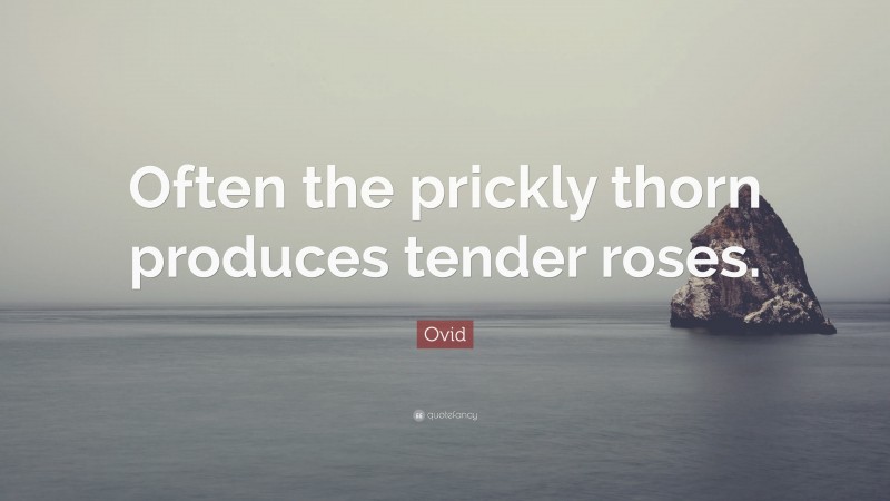 Ovid Quote: “Often the prickly thorn produces tender roses.”