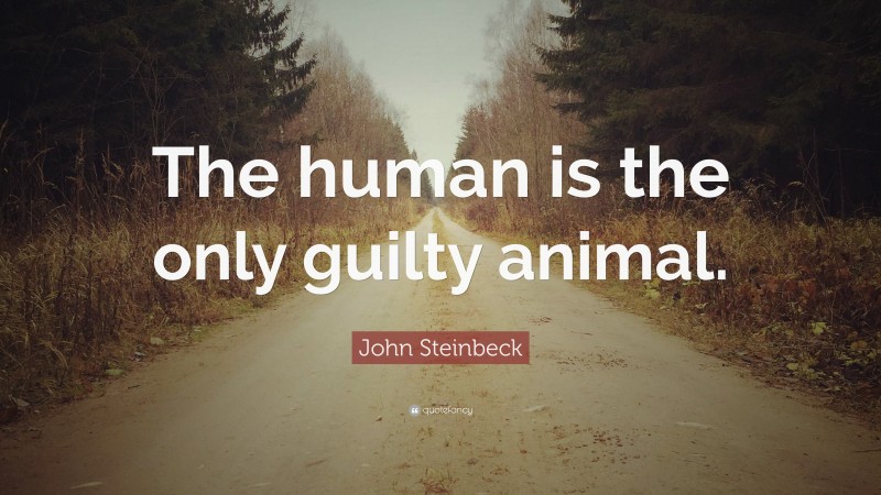 John Steinbeck Quote: “The human is the only guilty animal.”