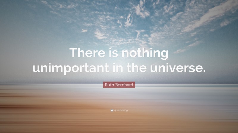 Ruth Bernhard Quote: “There is nothing unimportant in the universe.”