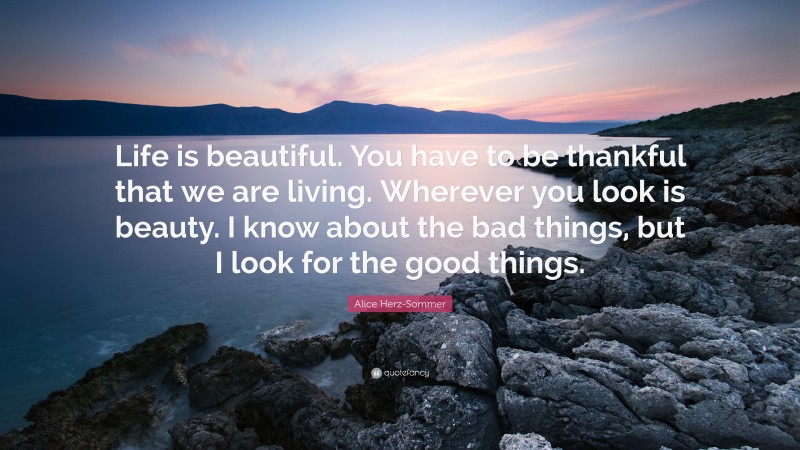 Alice Herz-Sommer Quote: “Life is beautiful. You have to be thankful that we are living. Wherever you look is beauty. I know about the bad things, but I look for the good things.”