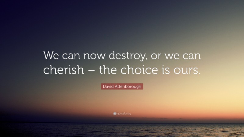 David Attenborough Quote: “We can now destroy, or we can cherish – the choice is ours.”