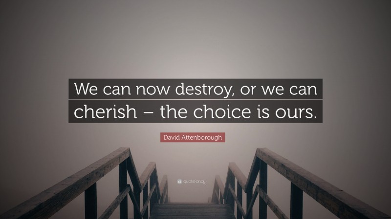 David Attenborough Quote: “We can now destroy, or we can cherish – the choice is ours.”