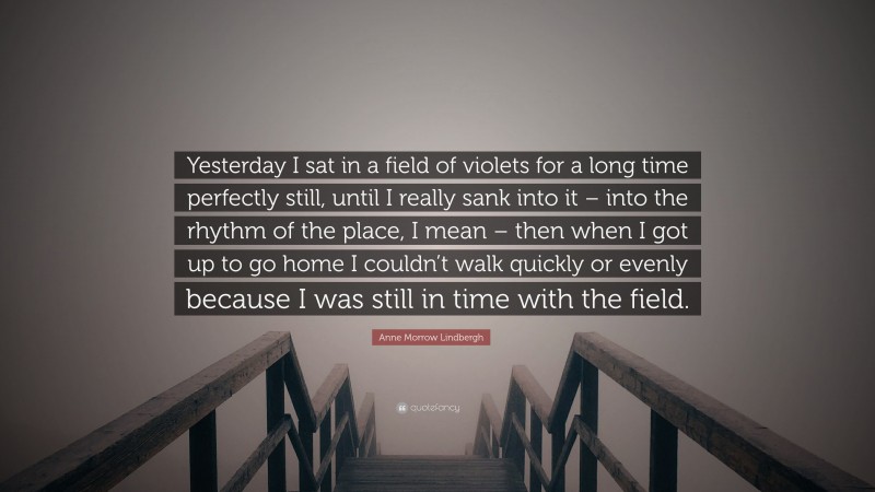 Anne Morrow Lindbergh Quote: “Yesterday I sat in a field of violets for a long time perfectly still, until I really sank into it – into the rhythm of the place, I mean – then when I got up to go home I couldn’t walk quickly or evenly because I was still in time with the field.”
