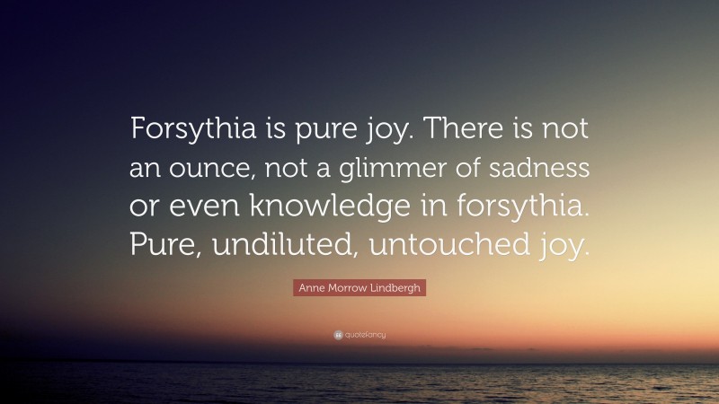Anne Morrow Lindbergh Quote: “Forsythia is pure joy. There is not an ounce, not a glimmer of sadness or even knowledge in forsythia. Pure, undiluted, untouched joy.”