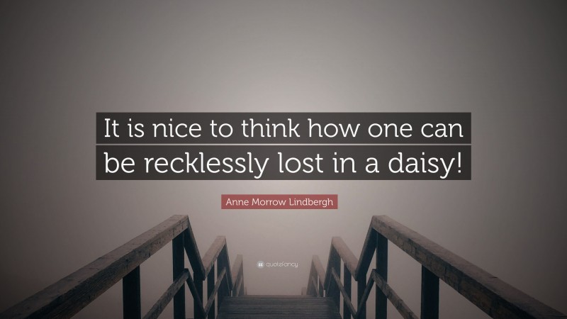 Anne Morrow Lindbergh Quote: “It is nice to think how one can be recklessly lost in a daisy!”