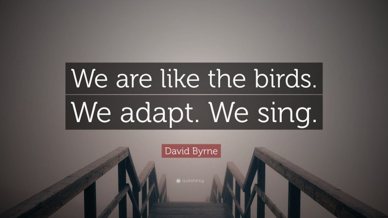 David Byrne Quote: “We are like the birds. We adapt. We sing.”