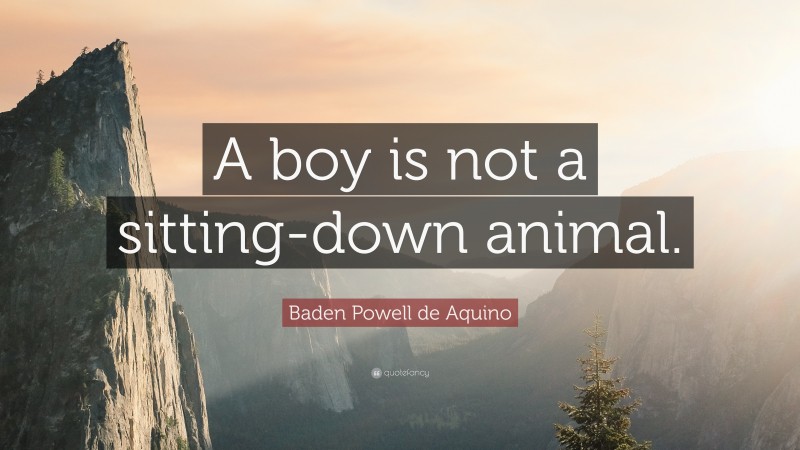 Baden Powell de Aquino Quote: “A boy is not a sitting-down animal.”