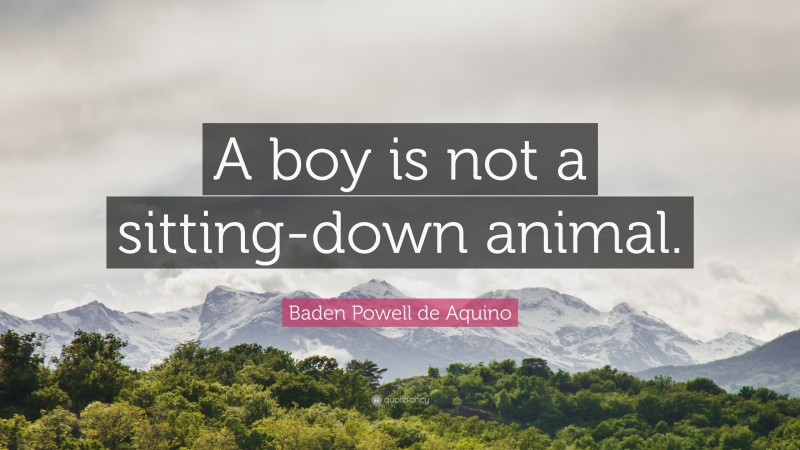Baden Powell de Aquino Quote: “A boy is not a sitting-down animal.”