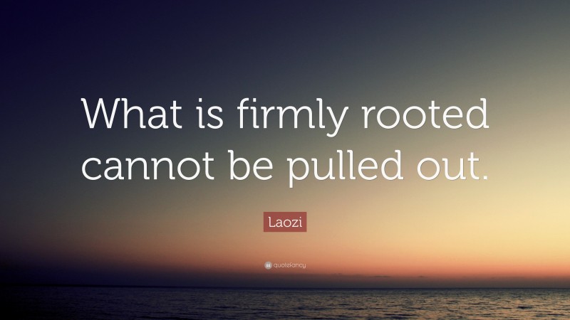 Laozi Quote: “What is firmly rooted cannot be pulled out.”