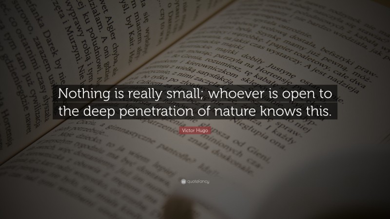 Victor Hugo Quote: “Nothing is really small; whoever is open to the deep penetration of nature knows this.”