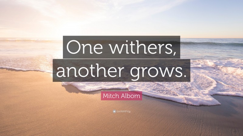Mitch Albom Quote: “One withers, another grows.”