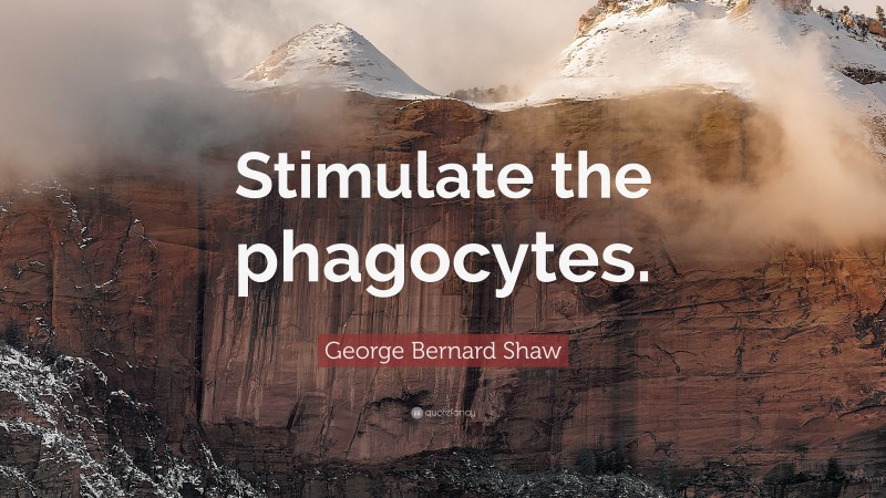 George Bernard Shaw Quote: “Stimulate the phagocytes.”