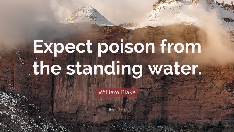 William Blake Quote: “Expect poison from the standing water.”