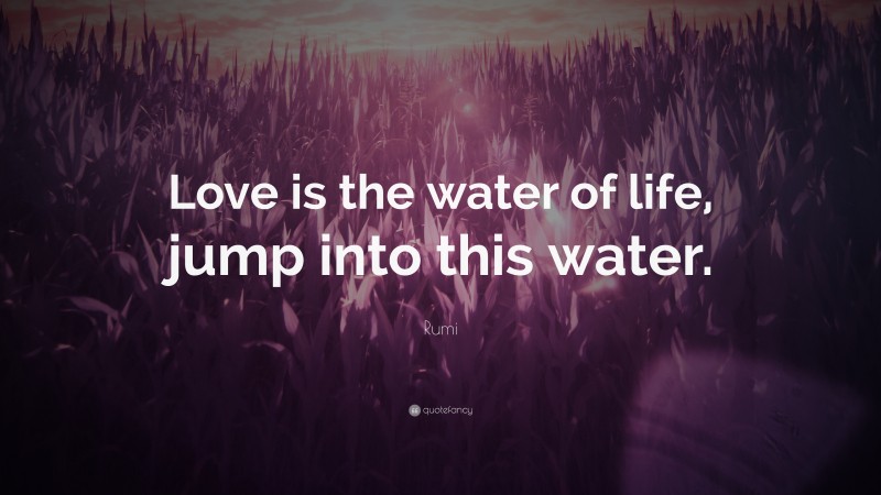 Rumi Quote: “Love is the water of life, jump into this water.”
