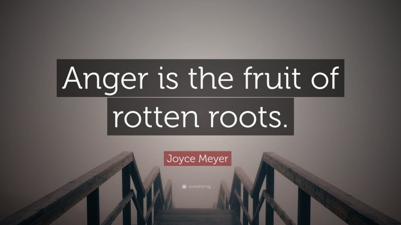 Joyce Meyer Quote: “Anger is the fruit of rotten roots.”