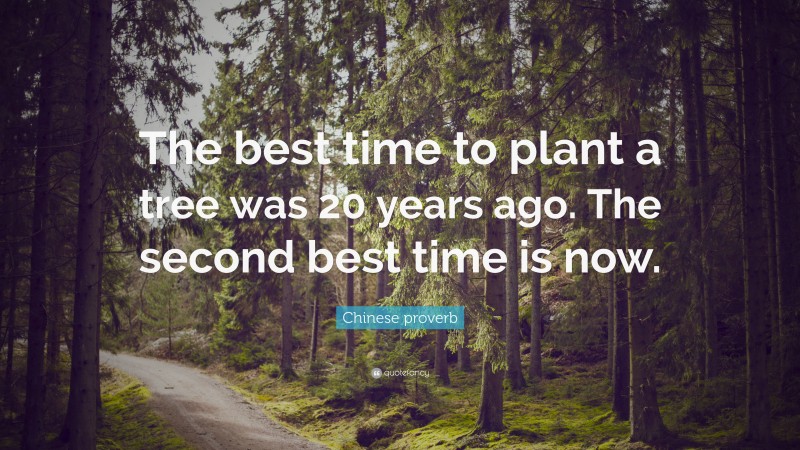 Chinese proverb Quote: “The best time to plant a tree was 20 years ago. The second best time is now.”