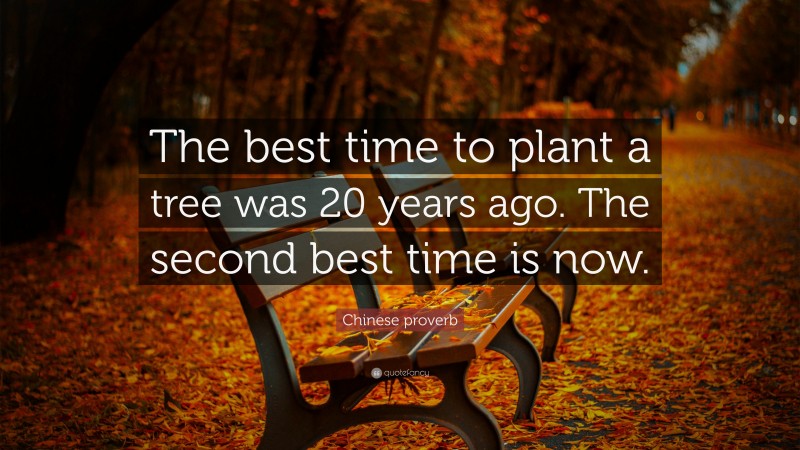 Chinese proverb Quote: “The best time to plant a tree was 20 years ago. The second best time is now.”