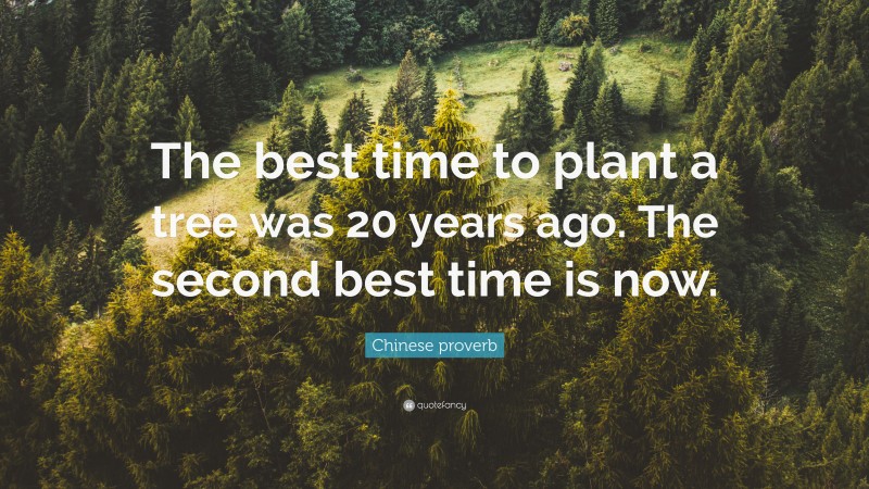 Chinese proverb Quote: “The best time to plant a tree was 20 years ago. The second best time is now.”
