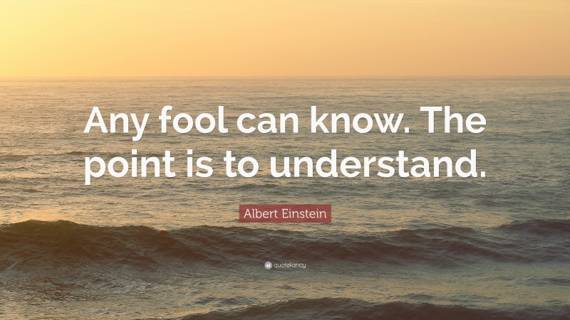 Albert Einstein Quote: “Any fool can know. The point is to understand.”
