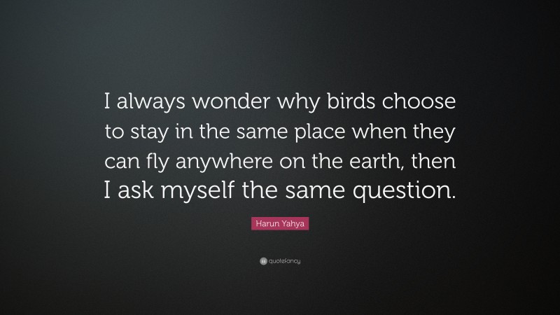 Harun Yahya Quote: “I always wonder why birds choose to stay in the same place when they can fly anywhere on the earth, then I ask myself the same question.”