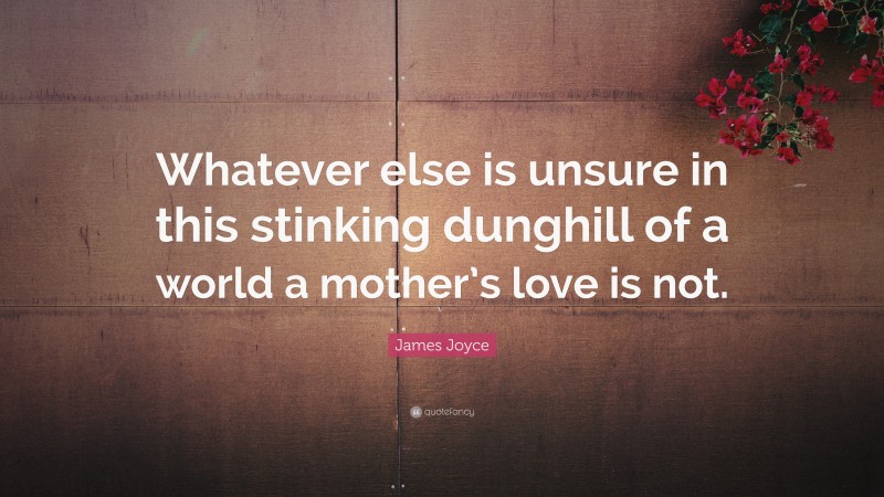 James Joyce Quote: “Whatever else is unsure in this stinking dunghill of a world a mother’s love is not.”