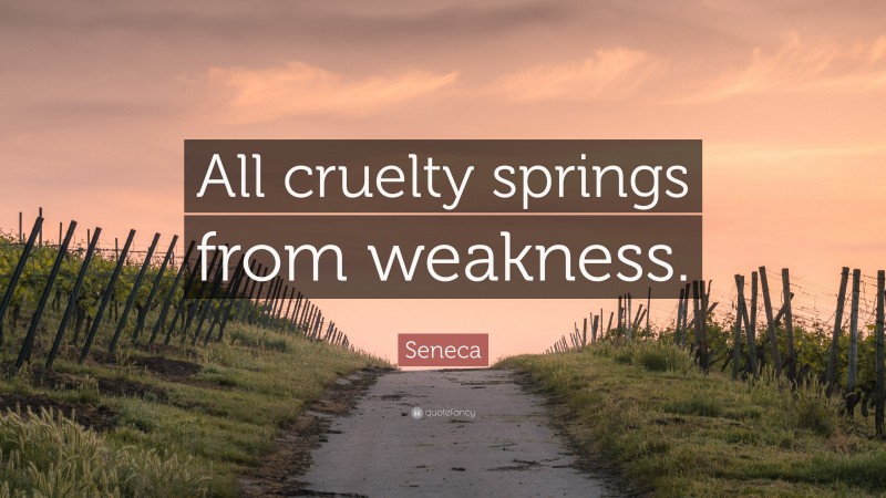 Seneca Quote: “All cruelty springs from weakness.”